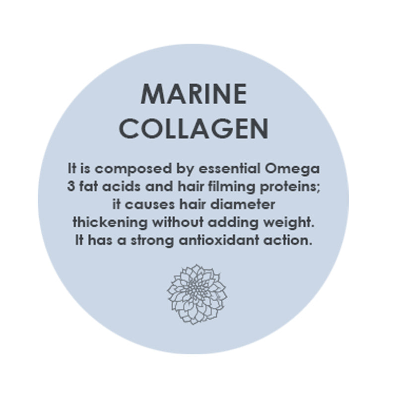 Rain Dance Volume Shampoo by boutique salon brands