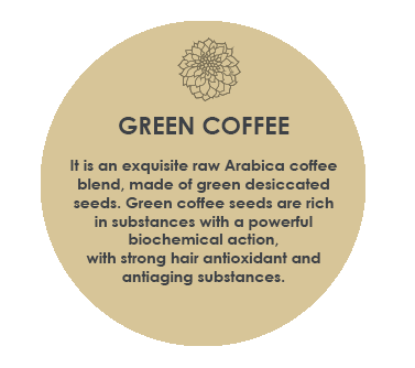 Rain Dance Flex Mousse by boutique salon brands